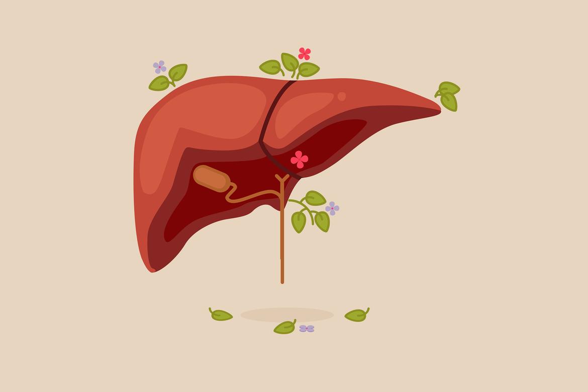 Myths about fatty liver disease